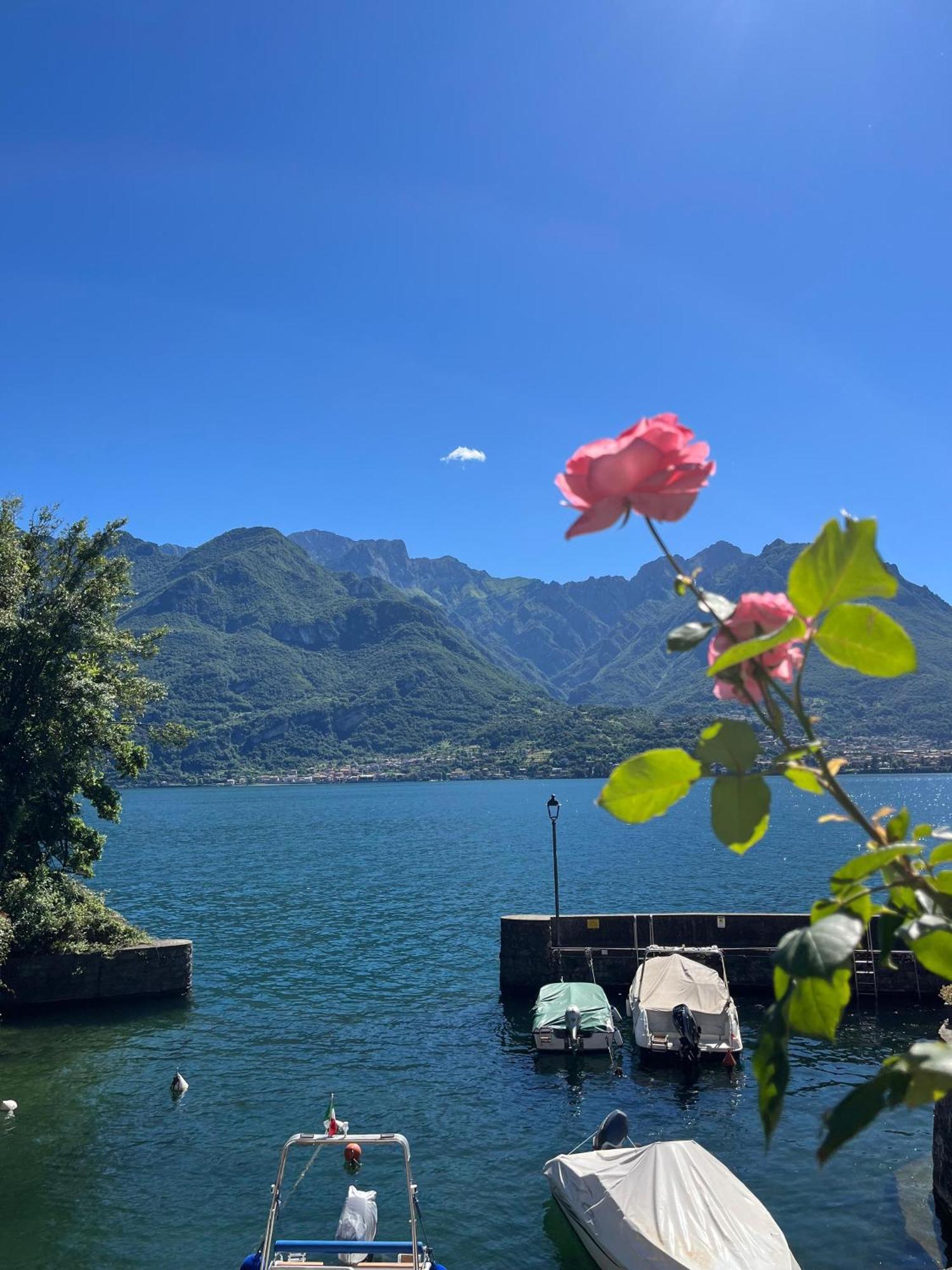 Domus Graziana - Lake Front Oliveto Lario Ngoại thất bức ảnh